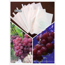 Weather-Resistant Non-Toxic Guava/Grape/Mango Protection Paper Bag Factory Price with Outlet Entrance